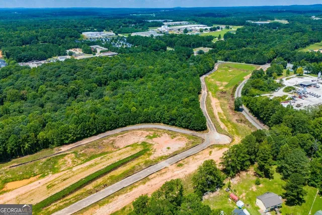 a aerial view of a house with a yard and lake view