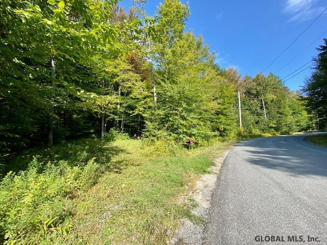 7477 Wileytown Road Providence, NY 12850 - Photo 8 of 18 Photo 8