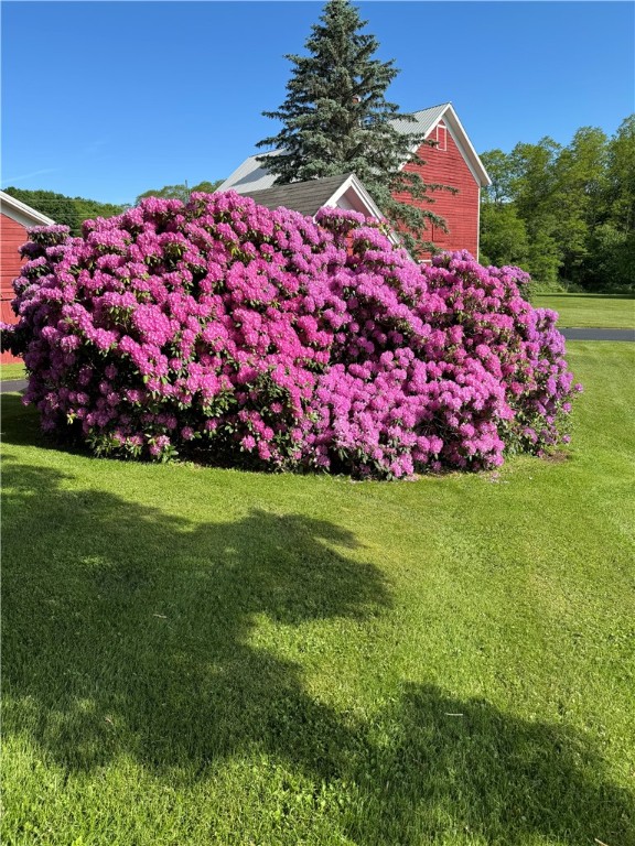 2549 State Street Oneonta, NY 13820 - Photo 36 of 36