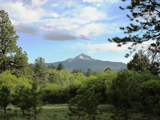 $359,000 | Tbd Peninsula Drive, Placerville, CO 81430