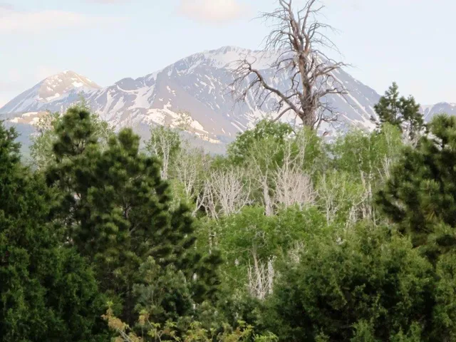 $359,000 | Tbd Peninsula Drive, Placerville, CO 81430