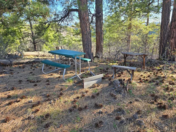 $359,000 | Tbd Peninsula Drive, Placerville, CO 81430