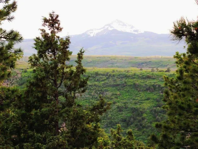 $359,000 | Tbd Peninsula Drive, Placerville, CO 81430