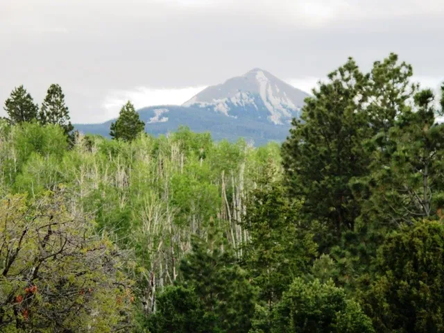 $359,000 | Tbd Peninsula Drive, Placerville, CO 81430