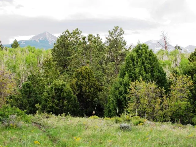 $359,000 | Tbd Peninsula Drive, Placerville, CO 81430