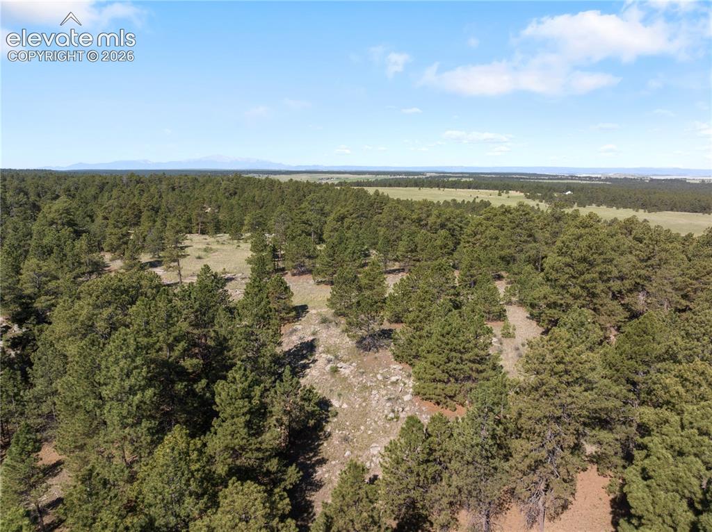 18673 Elbert Road Elbert, CO 80106 - Photo 25 of 29