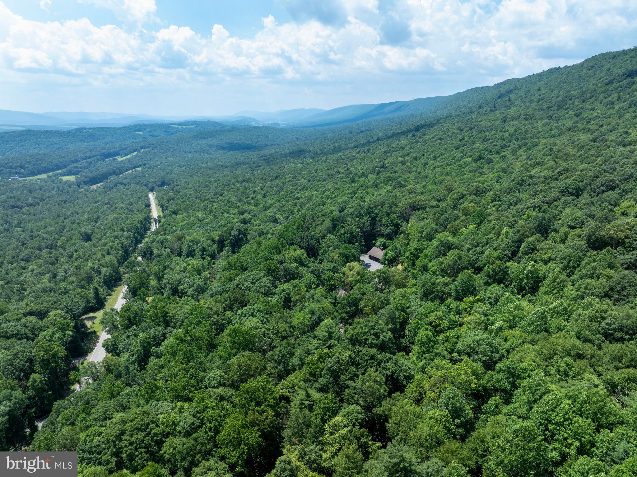 1400 Jacks Mountain Road McVeytown, PA 17051 - Photo 24 of 129 a view of a big yard with plants and large trees