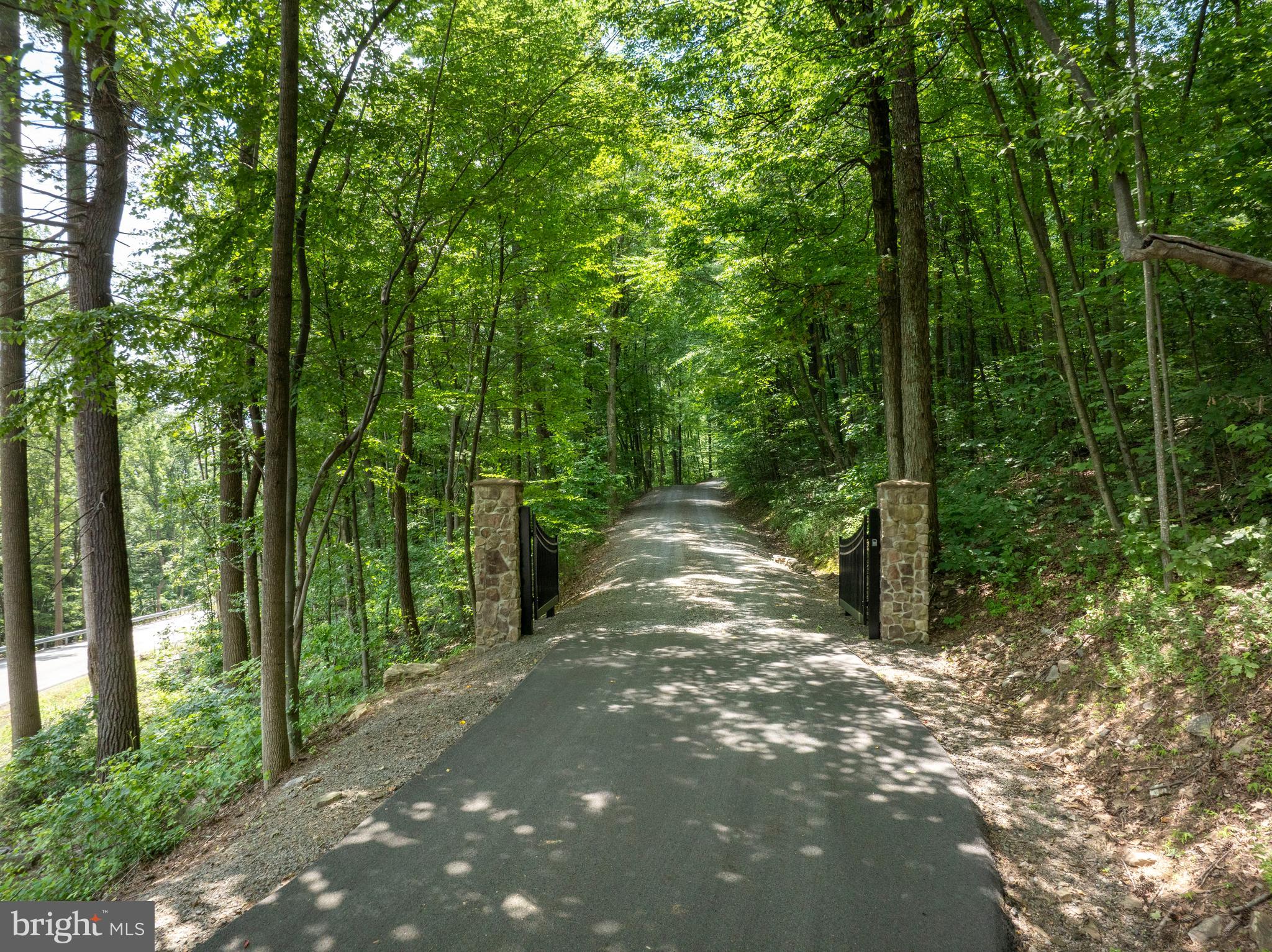 1400 Jacks Mountain Road McVeytown, PA 17051 - Photo 28 of 129 a view of a forest with trees in the background