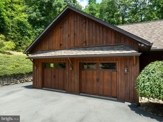 a view of a big yard with plants and large trees