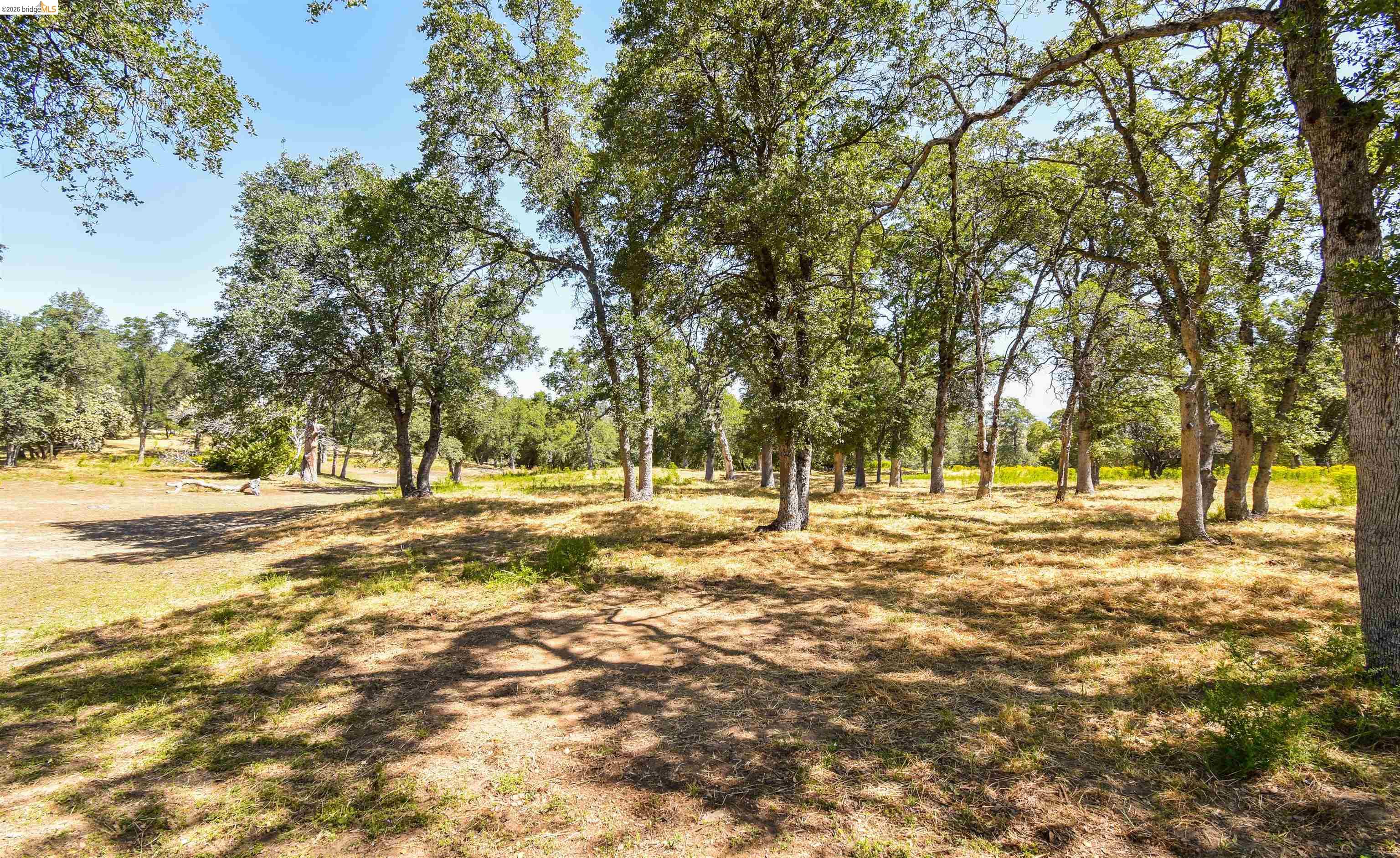 45-ac Powell Ranch Road Sonora, CA 95370 - Photo 7 of 20