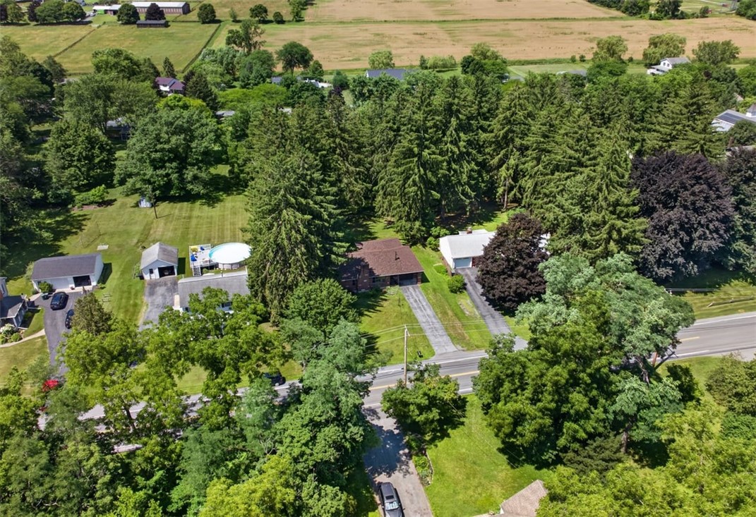 140 White Springs Road Geneva Town, NY 14456 - Photo 4 of 33