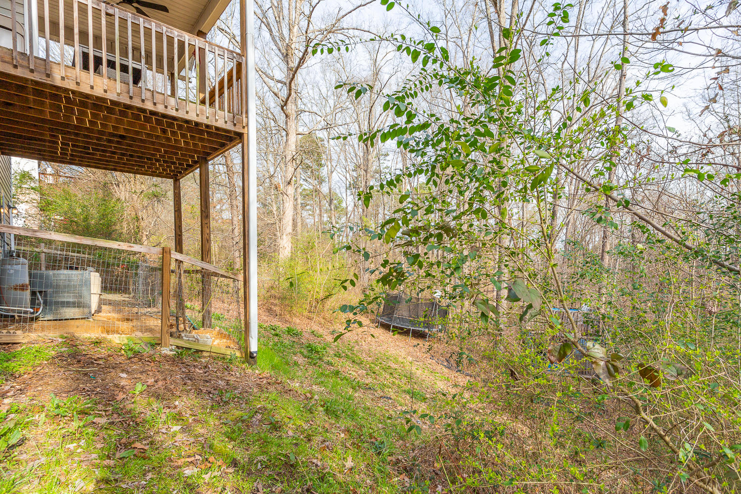 48 Spring Valley Lane Ringgold, GA 30736 - Photo 7 of 42 48 Spring Valley HD_-10