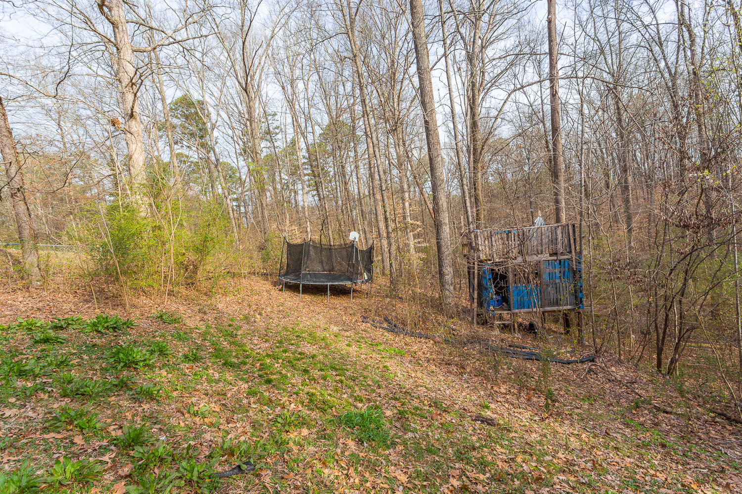 48 Spring Valley Lane Ringgold, GA 30736 - Photo 8 of 42 48 Spring Valley HD_-11