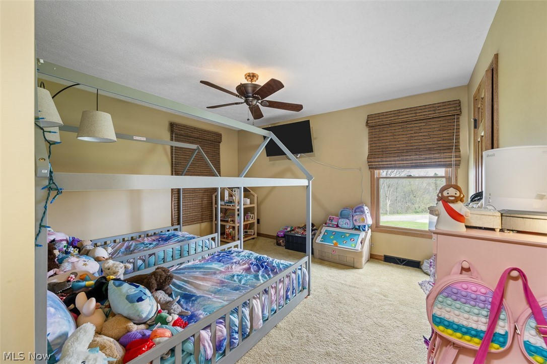 81910 Ourant Road Cadiz, OH 43907 - Photo 19 of 50