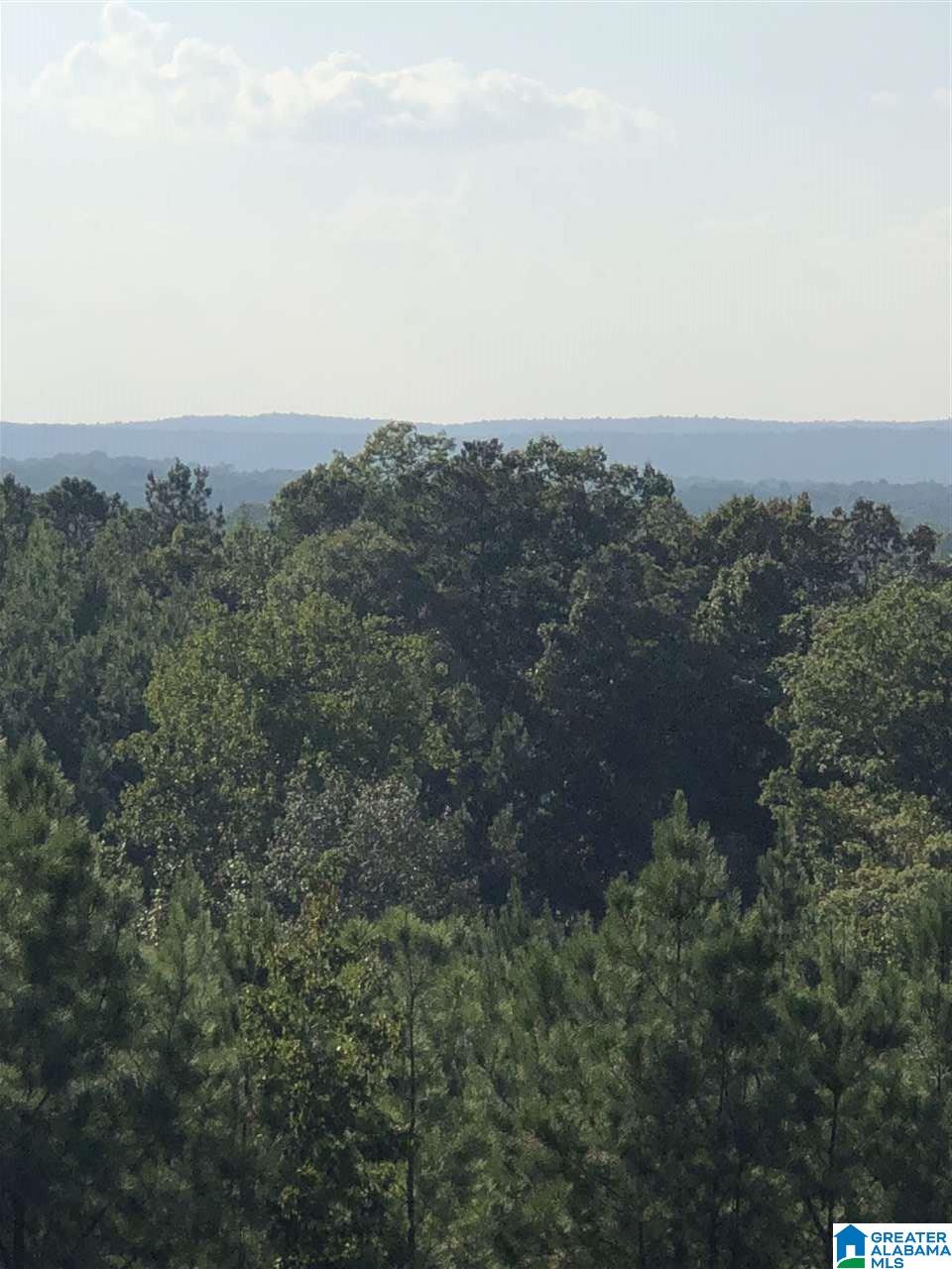 1 Highway 69, Unit 1 Gallion, AL 36742 - Photo 3 of 8