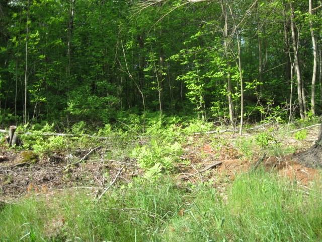 Lot 40-1 Lot Road Plymouth, ME 04969 - Photo 1 of 4 Photo