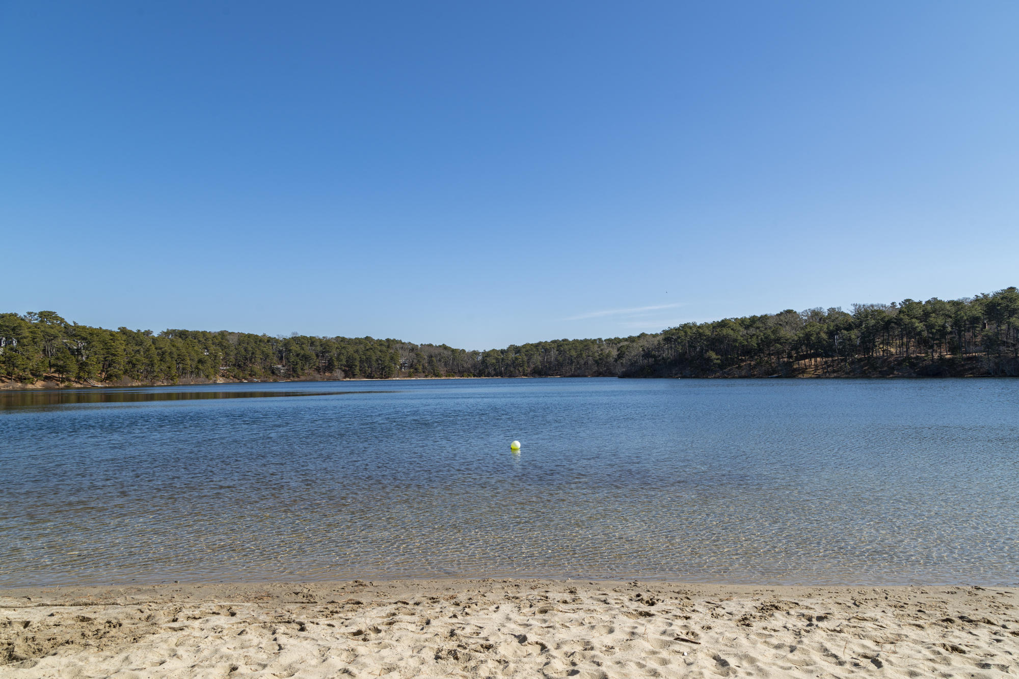 224 Sam Ryder Road Chatham, MA 02633 - Photo 23 of 27 DSC09628