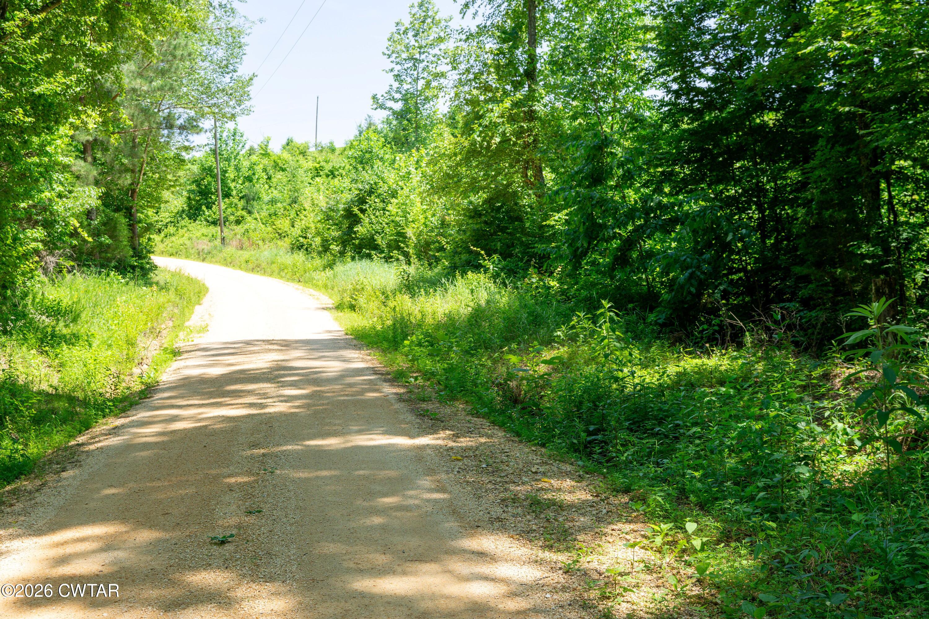 0 Walter Mills Road Sugar Tree, TN 38380 - Photo 14 of 15 558R