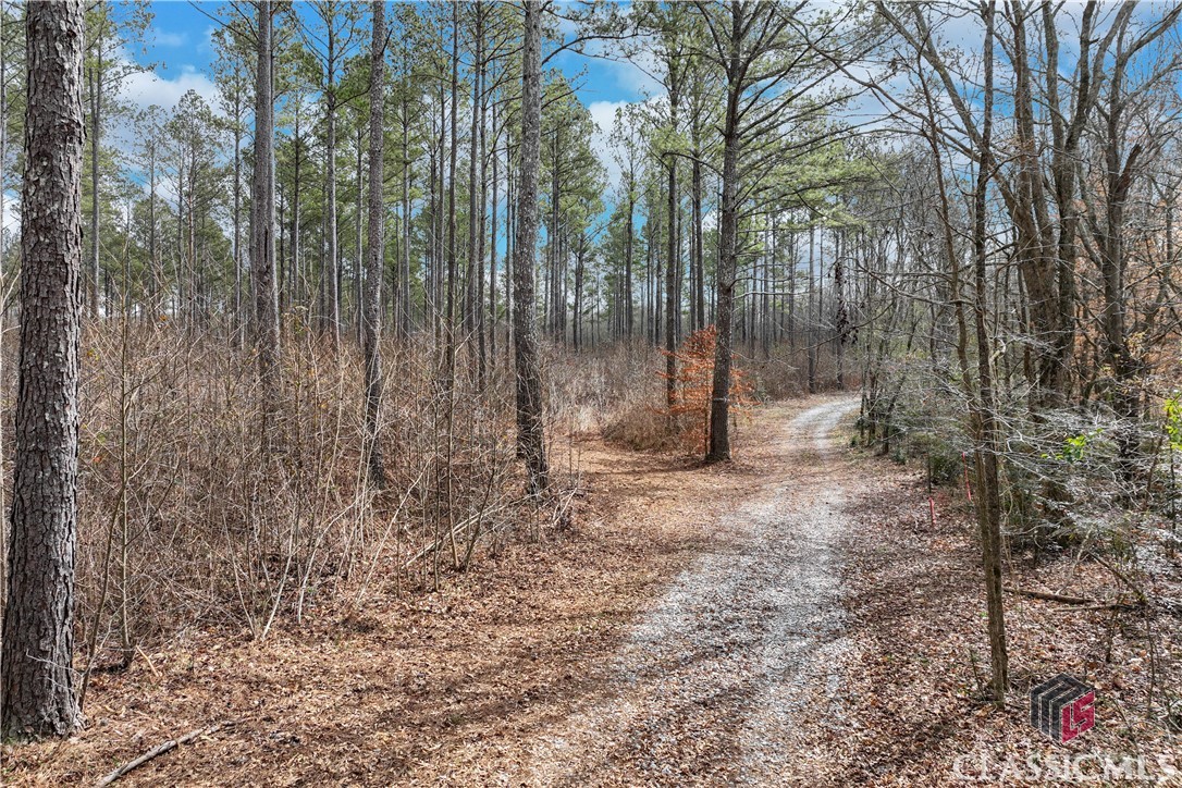 1435 Hargrove Lake Road Winterville, GA 30683 - Photo 1 of 8
