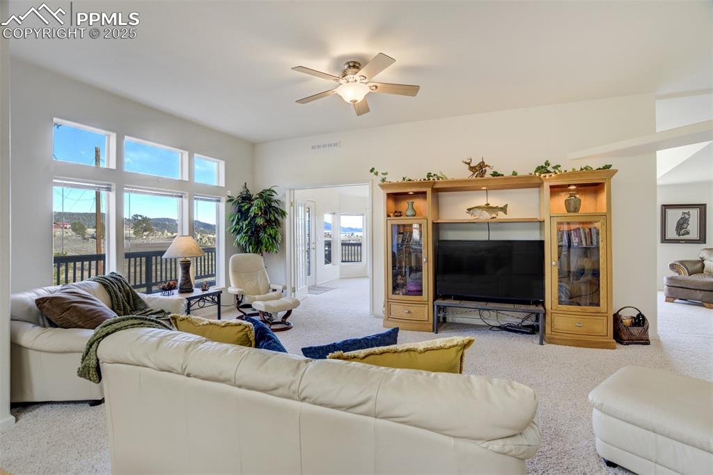 688 Tiara Road Lake George, CO 80827 - Photo 6 of 46 a living room with furniture and a flat screen tv