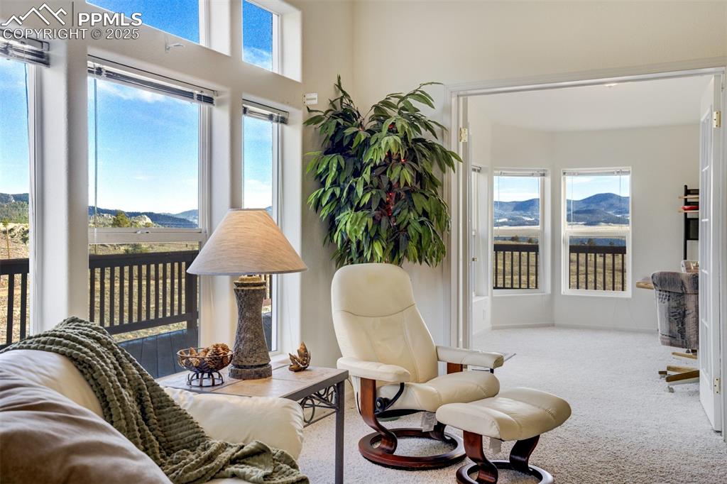 688 Tiara Road Lake George, CO 80827 - Photo 7 of 46 a living room with furniture and a window