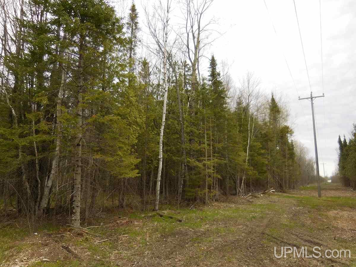 Tbd Kk Road Rapid River, MI 49864 - Photo 13 of 13
