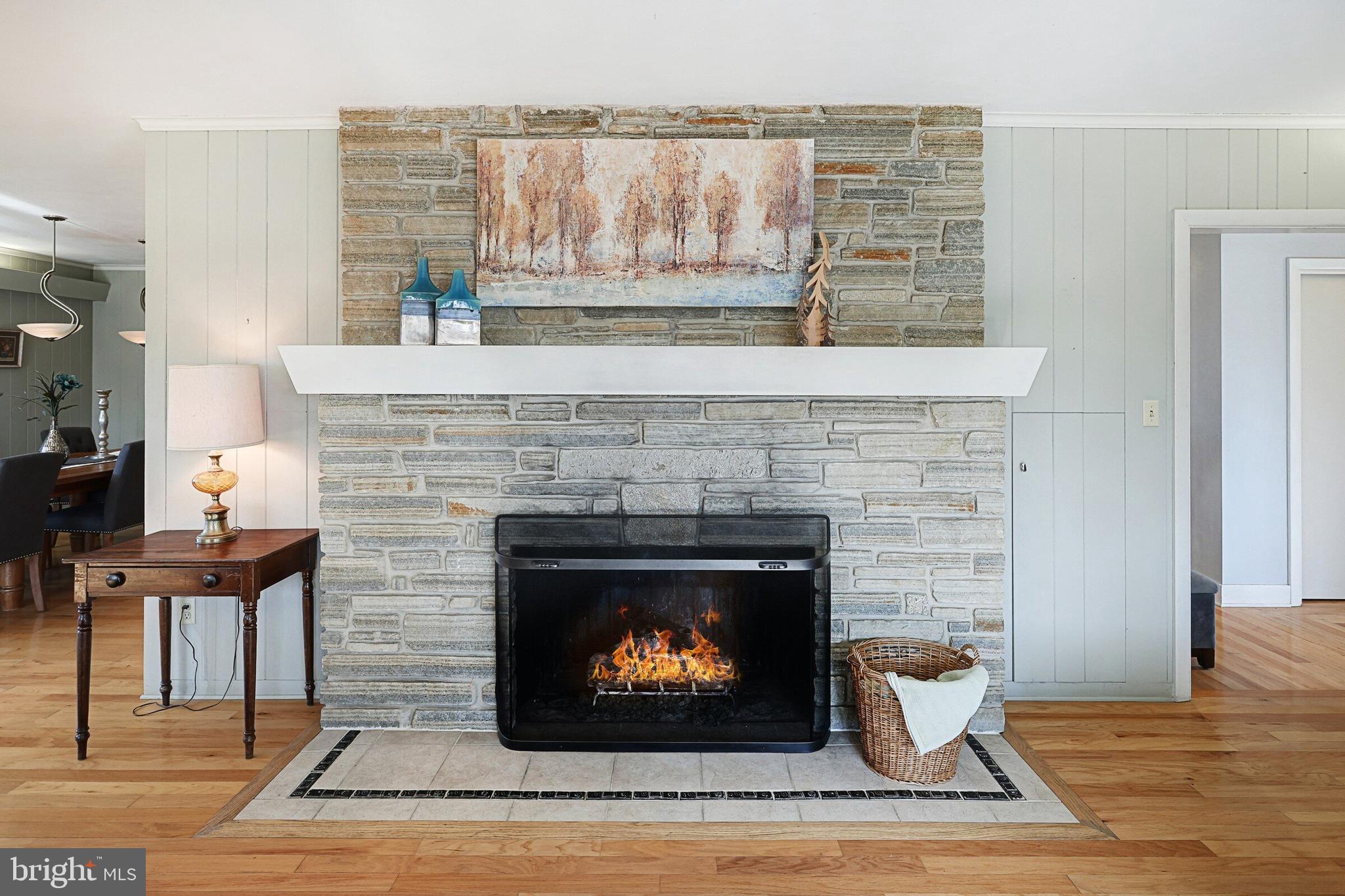 146 George Street Hanover, PA 17331 - Photo 18 of 83 Gas fireplace; one of THREE