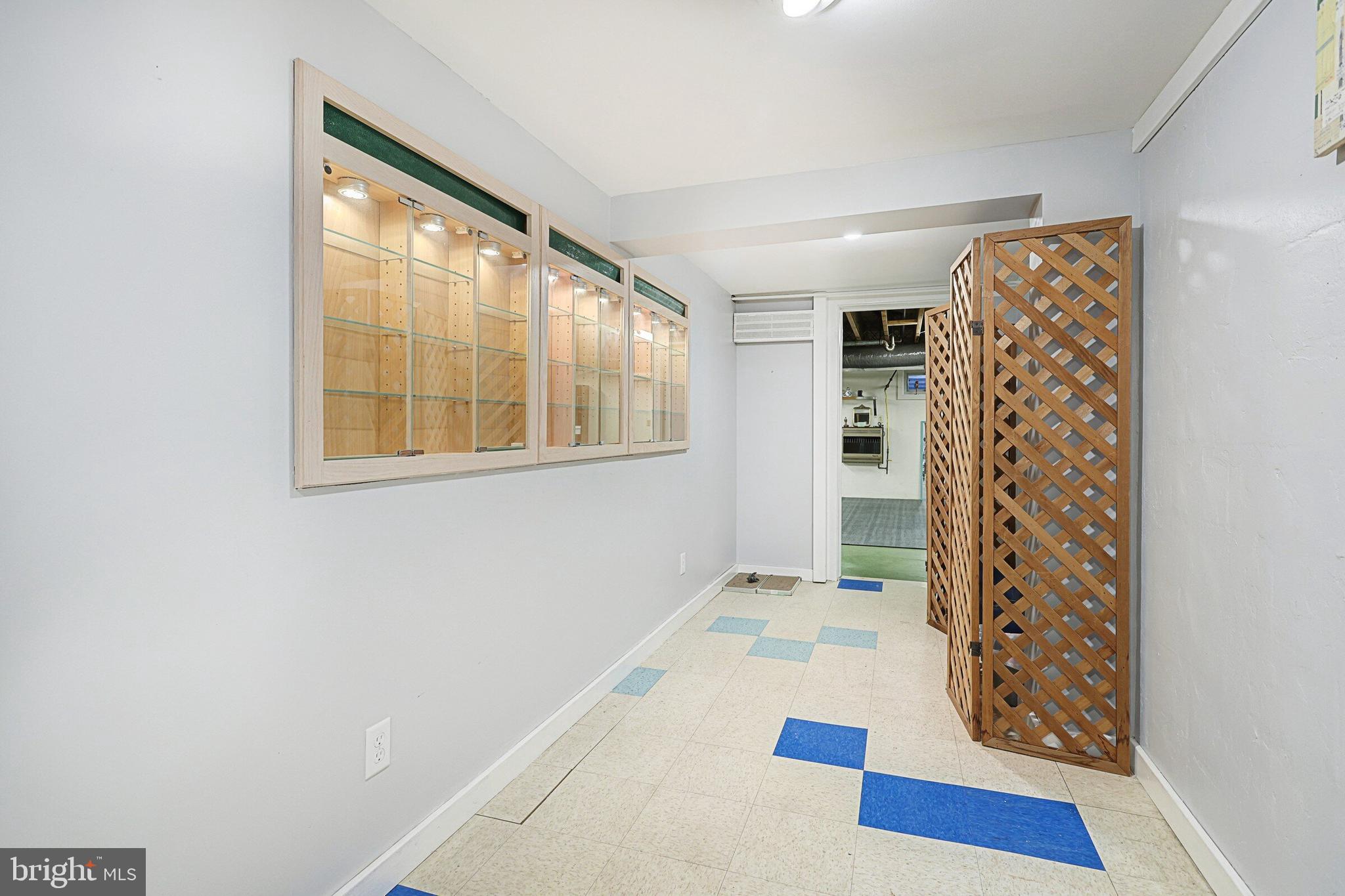 146 George Street Hanover, PA 17331 - Photo 67 of 83 Lower level custom built in display cabinet