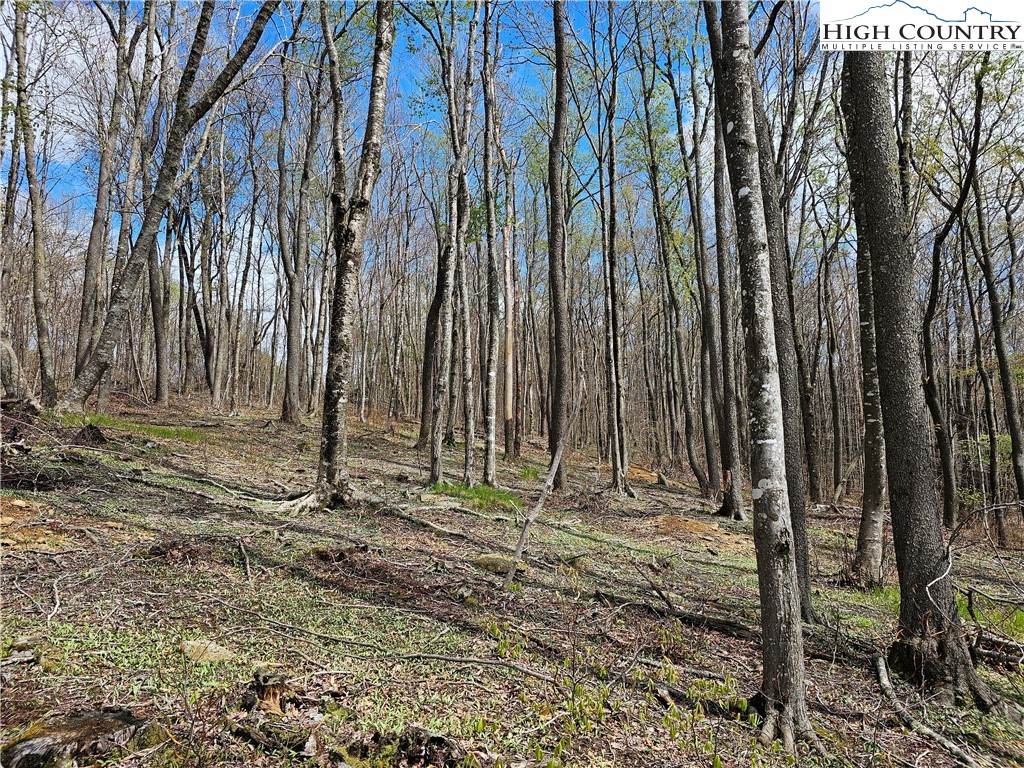 65 Rippling Waters Trail Banner Elk, NC 28604 - Photo 11 of 17