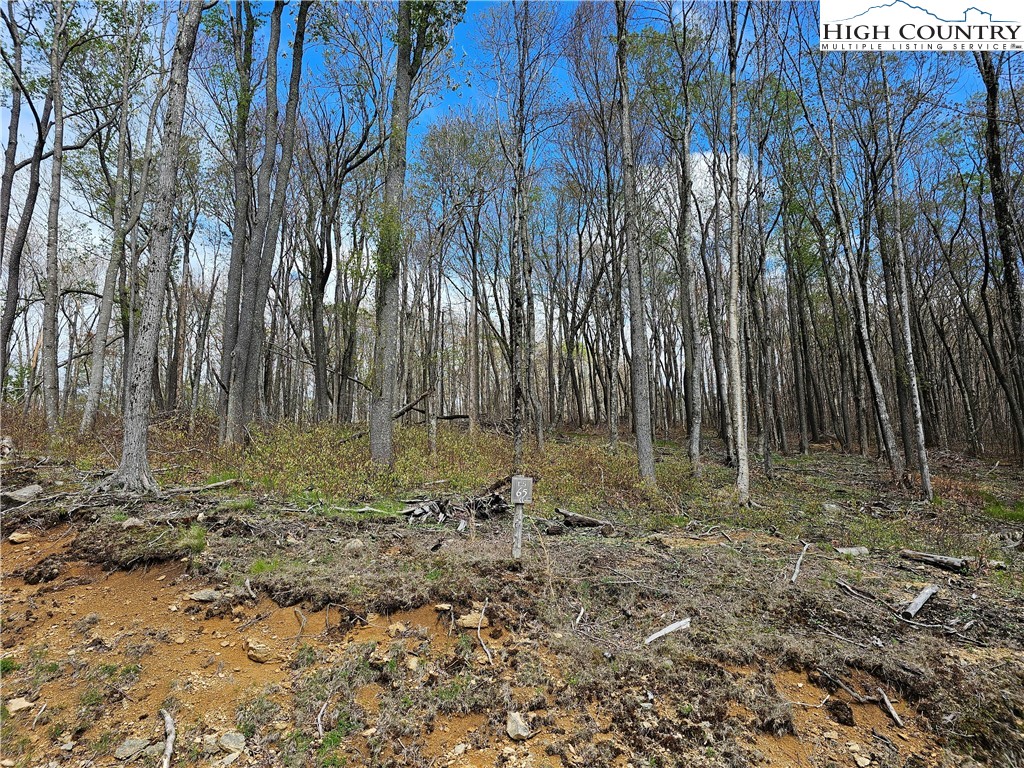 65 Rippling Waters Trail Banner Elk, NC 28604 - Photo 12 of 17