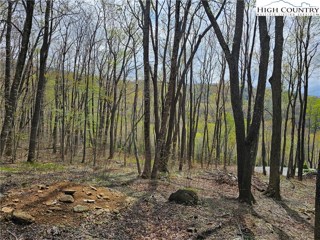 65 Rippling Waters Trail Banner Elk, NC 28604 - Photo 13 of 17