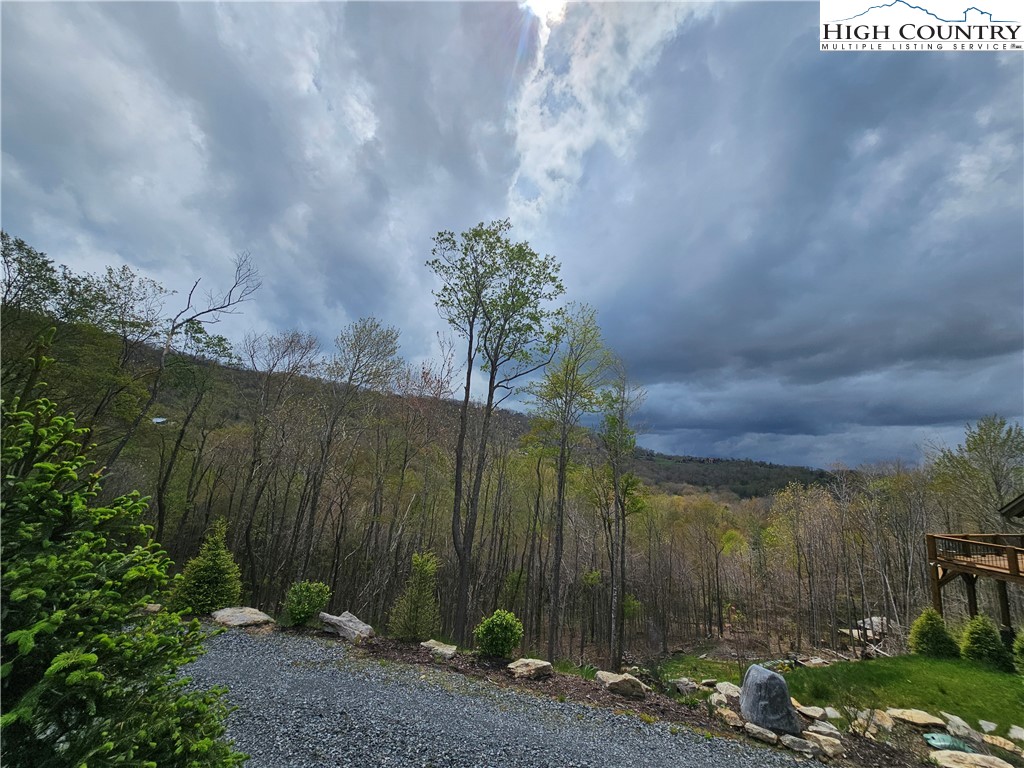 65 Rippling Waters Trail Banner Elk, NC 28604 - Photo 14 of 17