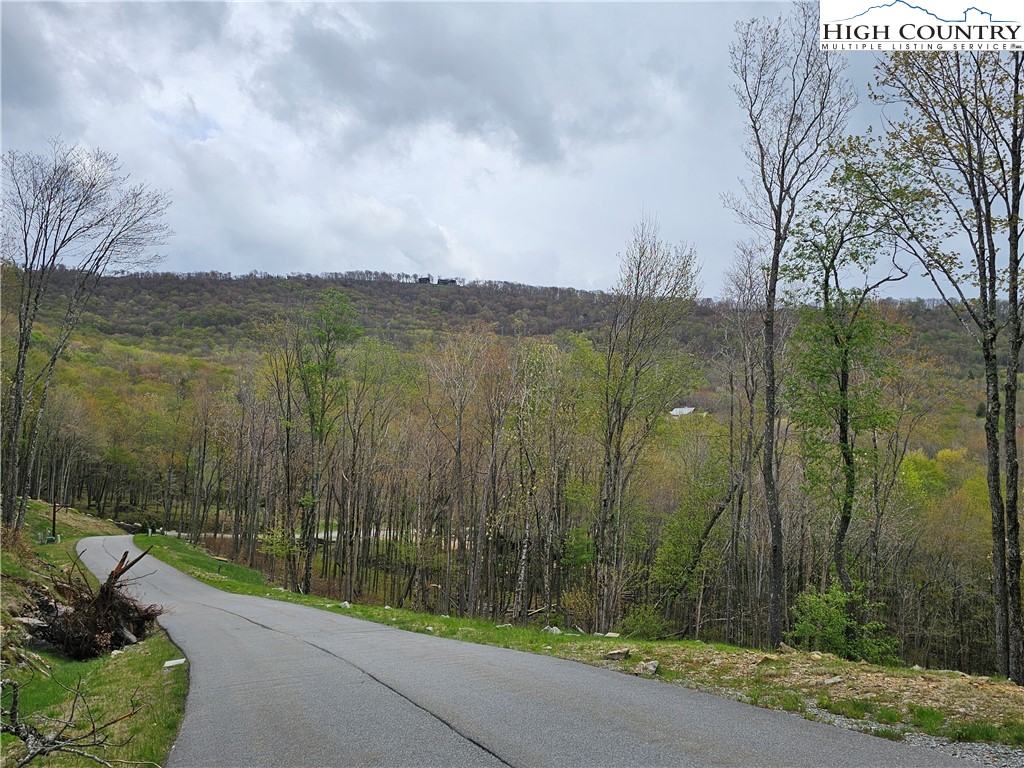 65 Rippling Waters Trail Banner Elk, NC 28604 - Photo 15 of 17
