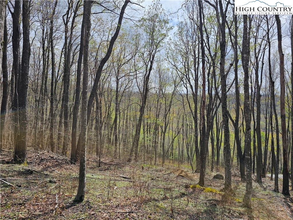 65 Rippling Waters Trail Banner Elk, NC 28604 - Photo 2 of 17