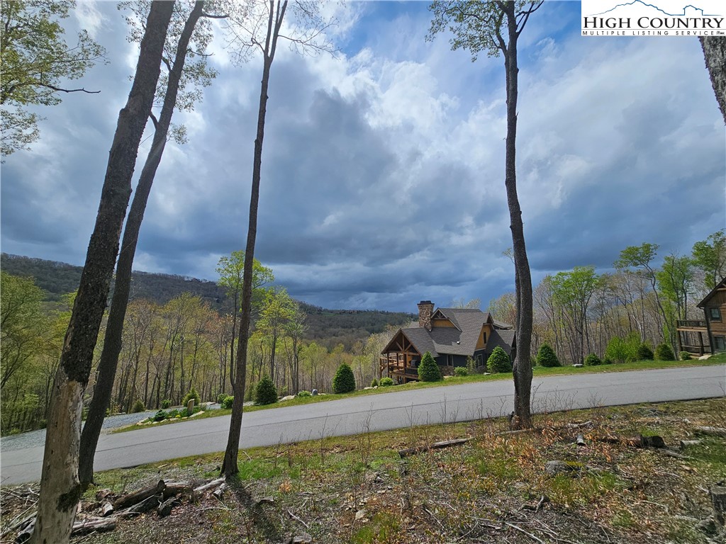 65 Rippling Waters Trail Banner Elk, NC 28604 - Photo 4 of 17