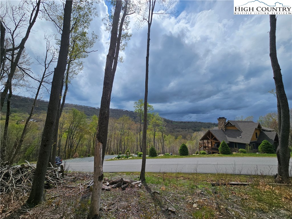 65 Rippling Waters Trail Banner Elk, NC 28604 - Photo 5 of 17