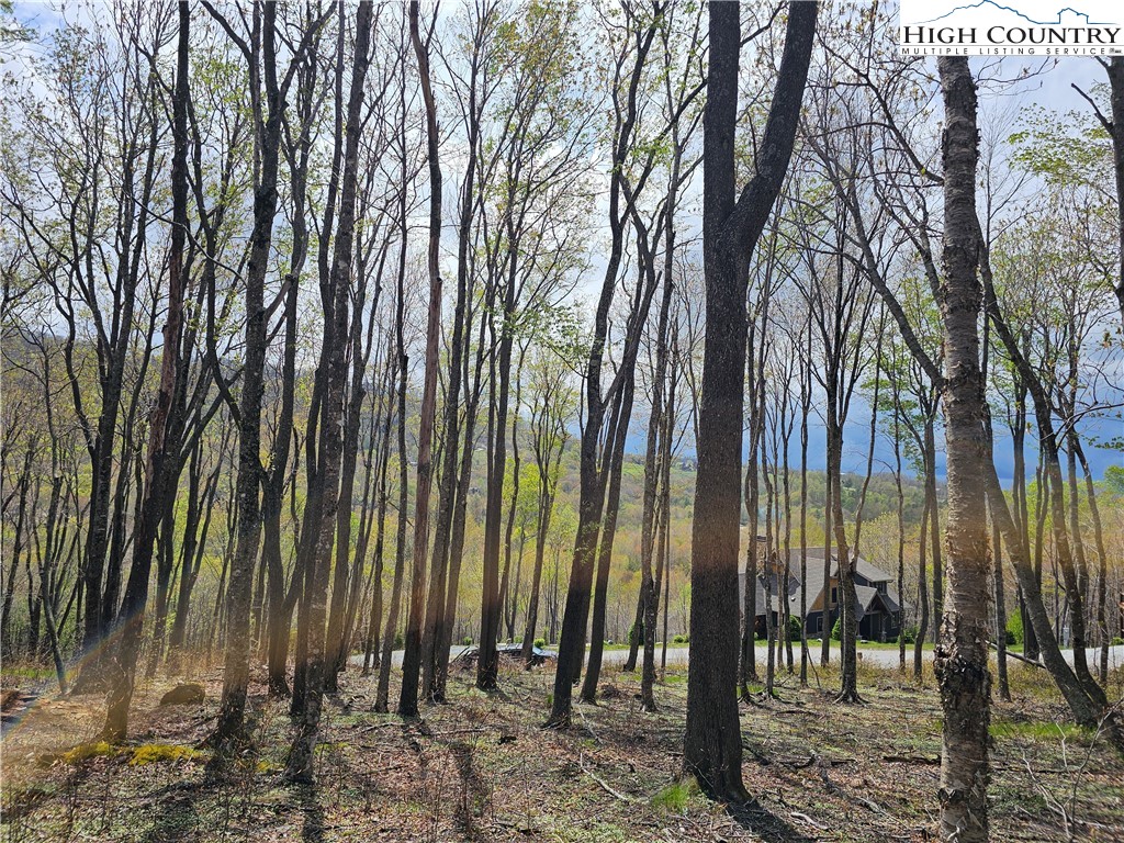 65 Rippling Waters Trail Banner Elk, NC 28604 - Photo 6 of 17