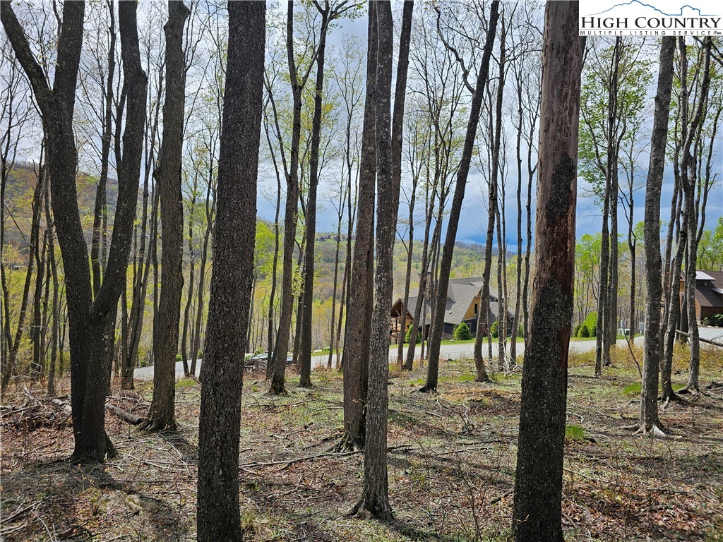 65 Rippling Waters Trail Banner Elk, NC 28604 - Photo 7 of 17