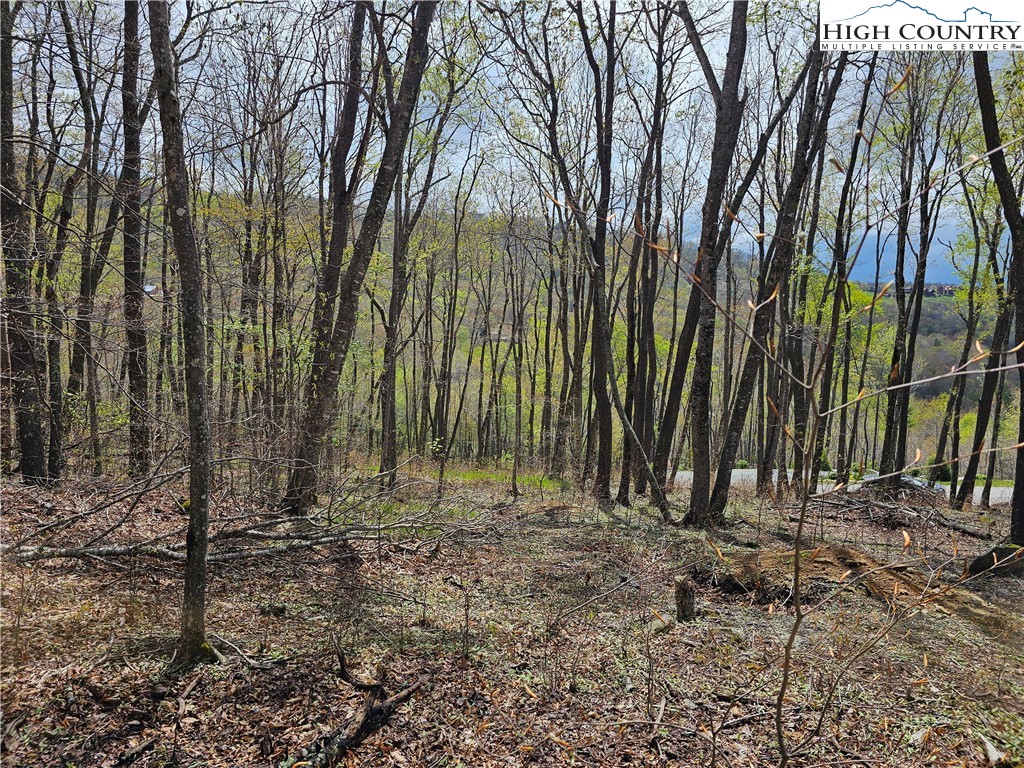 65 Rippling Waters Trail Banner Elk, NC 28604 - Photo 8 of 17