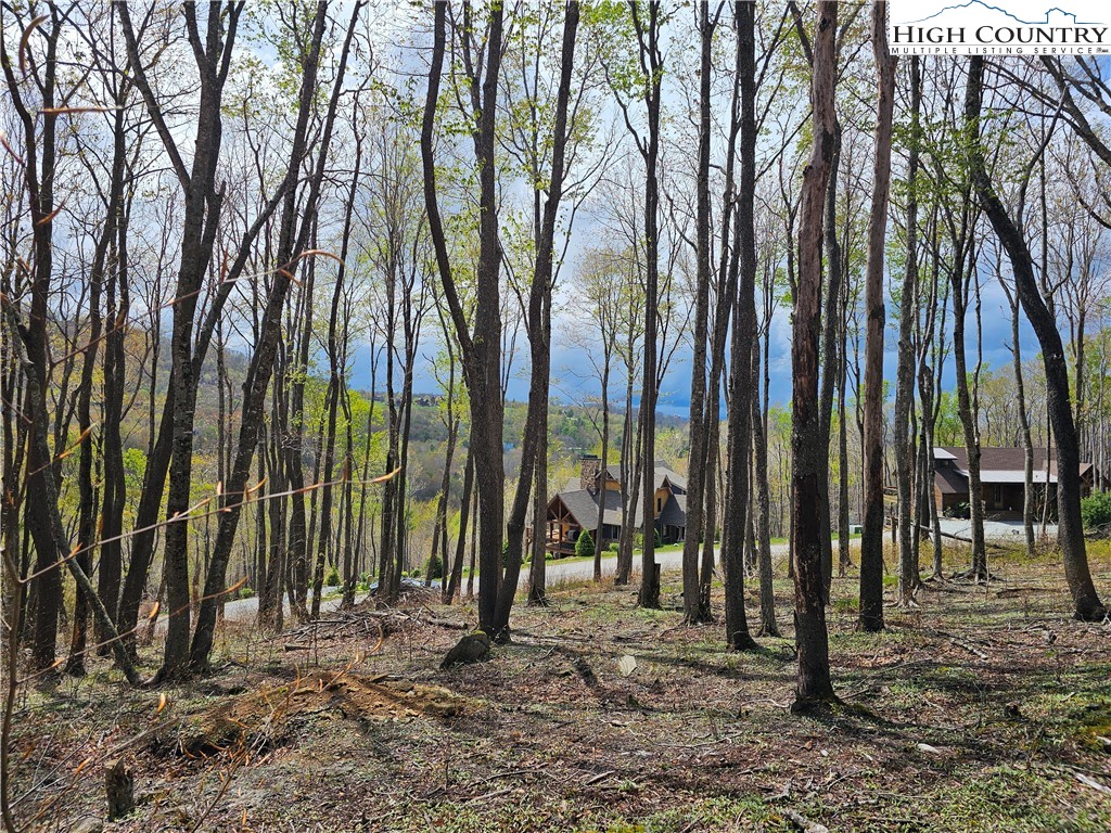 65 Rippling Waters Trail Banner Elk, NC 28604 - Photo 9 of 17