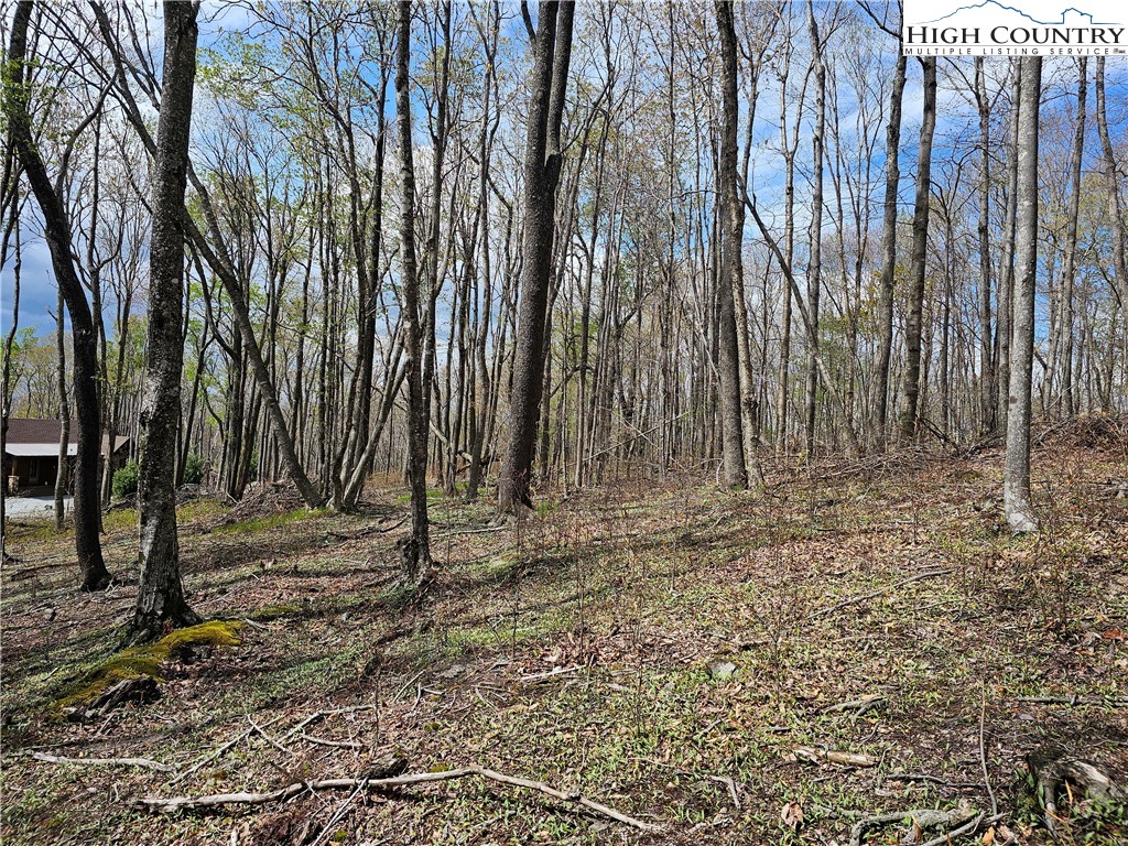 65 Rippling Waters Trail Banner Elk, NC 28604 - Photo 10 of 17