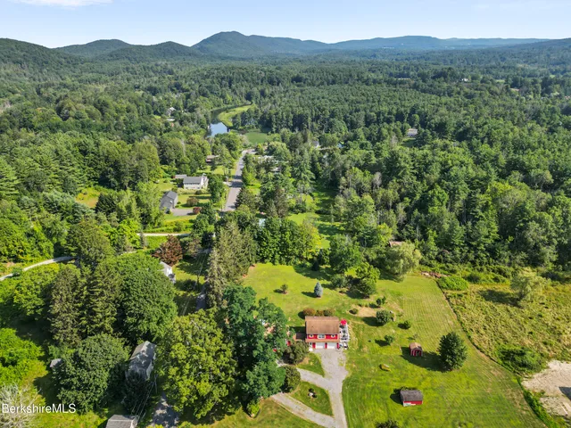 a view of a lush green forest with trees and mountains