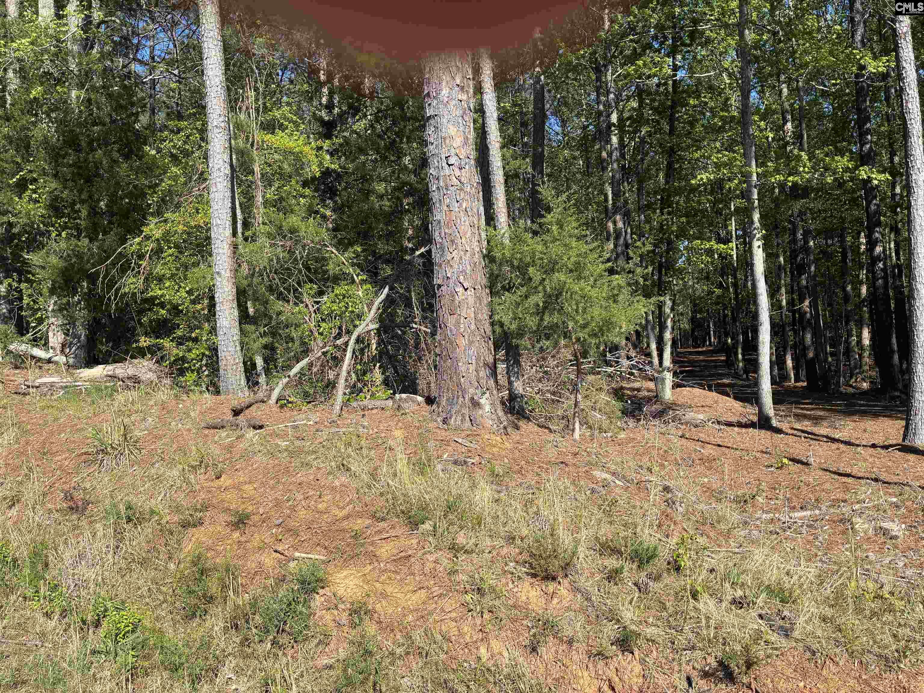 0 Mud Creek Road Newberry, SC 29108 - Photo 9 of 10