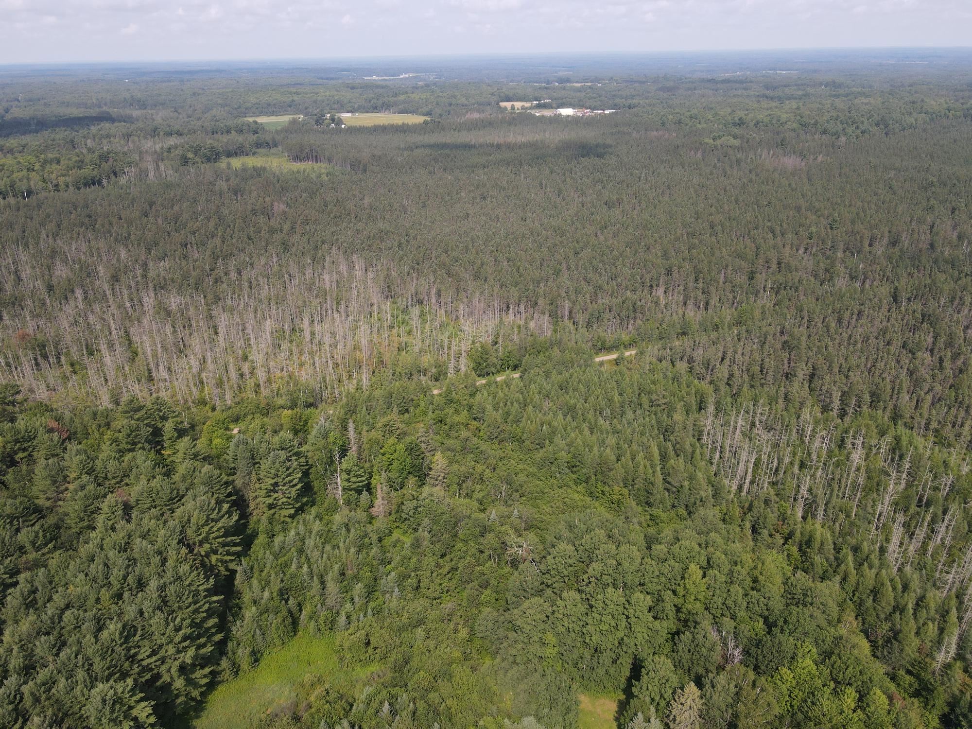0 Dahl Road Ogema, WI 54459 - Photo 18 of 19