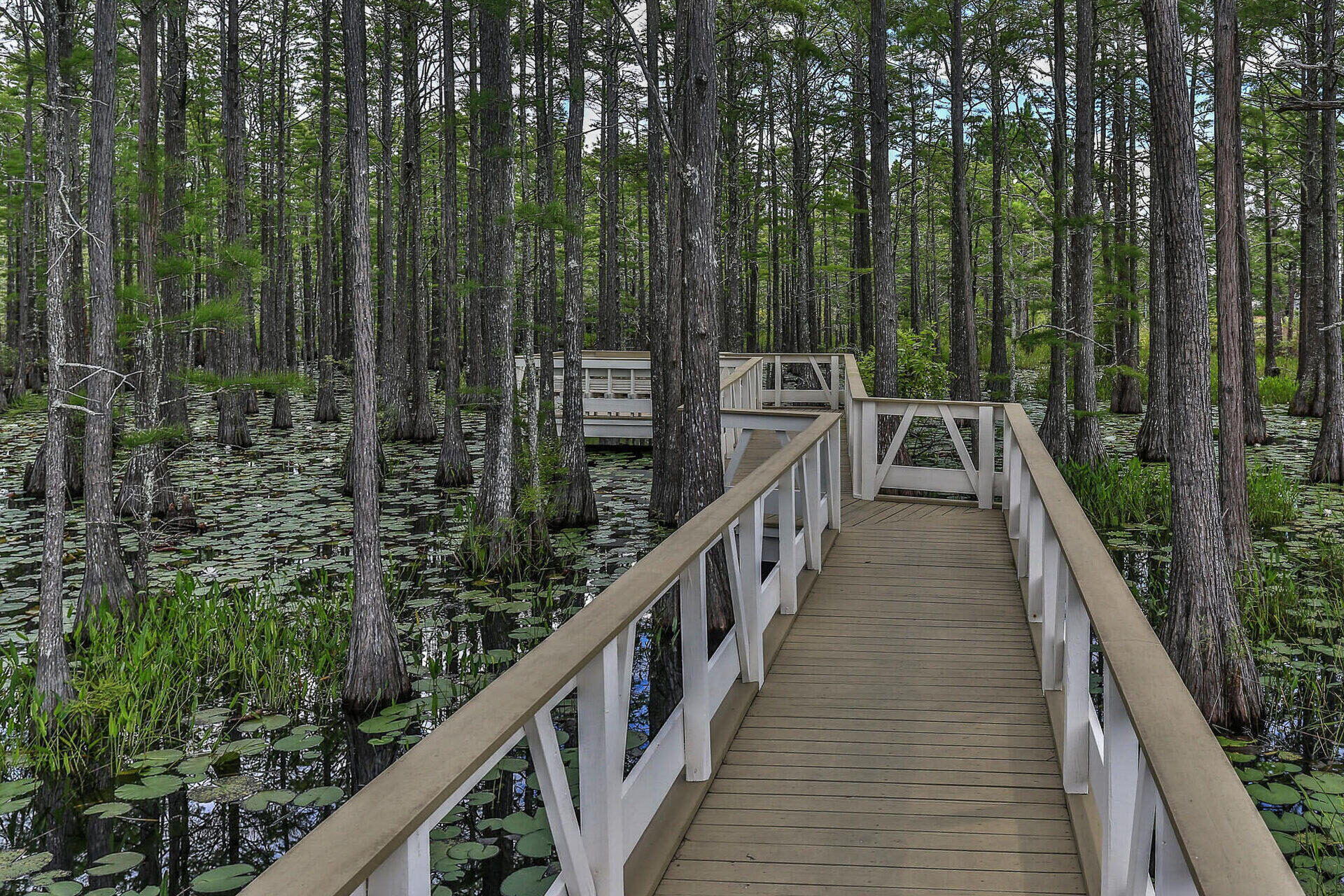 22 Cypress Ridge Santa Rosa Beach, FL 32459 - Photo 48 of 56 36-web-or-mls-CD14