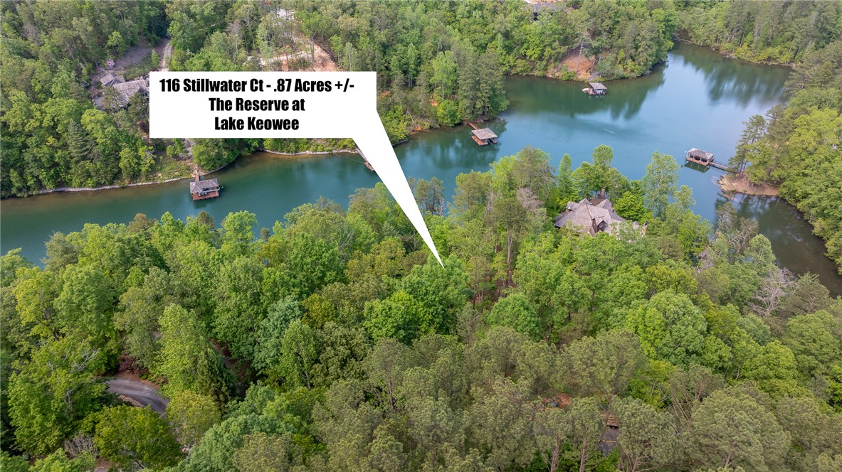 116 Stillwater Court Sunset, SC 29685 - Photo 12 of 21