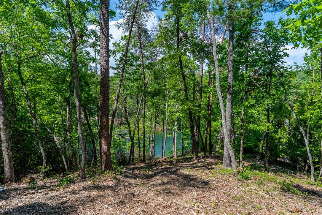 116 Stillwater Court Sunset, SC 29685 - Photo 2 of 21