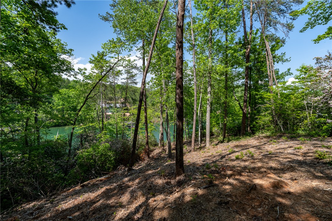 116 Stillwater Court Sunset, SC 29685 - Photo 4 of 21