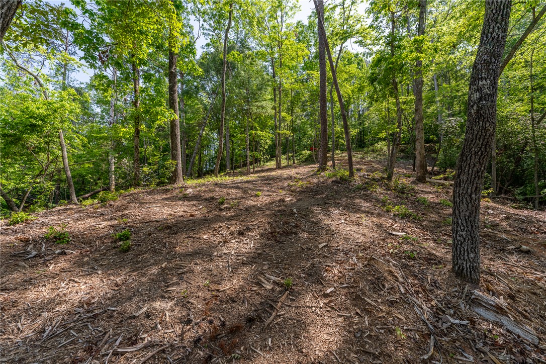 116 Stillwater Court Sunset, SC 29685 - Photo 5 of 21