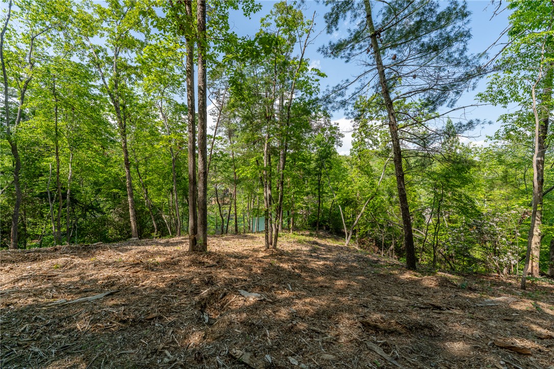 116 Stillwater Court Sunset, SC 29685 - Photo 6 of 21